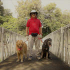 Paseos 4