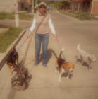 Paseos 2