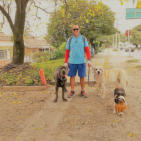 Paseos 6